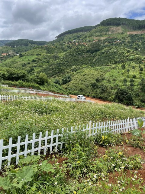 650m2 đất Trung Tâm TT Nam Ban. Mà Giá...