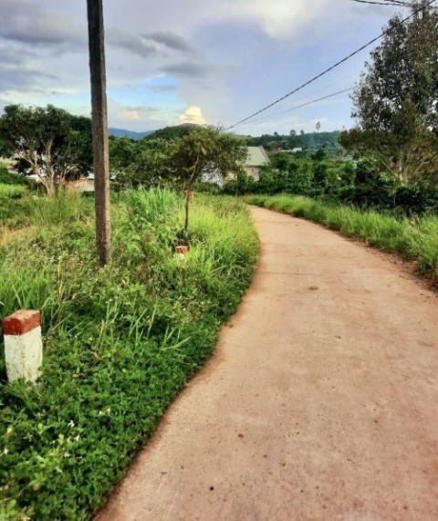 2.341m2 View Rừng Thông (300m2 ONT),...