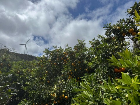 Mảnh đất sào đẹp, rẻ, thế dương hiếm có,...