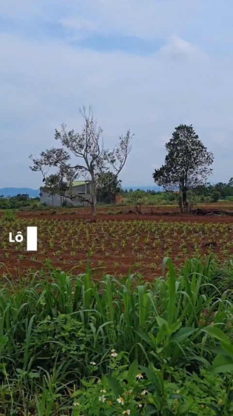 Mảnh đất Đông Thanh view cực đẹp, view...