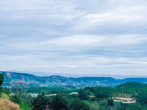 ban-1000m2-dat-gia-lam-gia-re