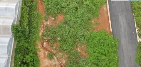 BÁN ĐẤT XÃ TÀ NUNG THÀNH PHỐ ĐÀ LẠT TỈNH...