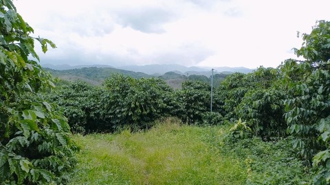 Cần bán 3,3ha đất thuộc thôn 2,  xã...