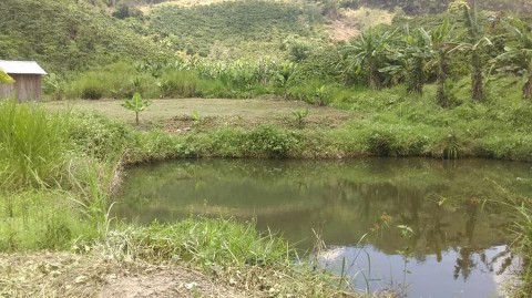 Cần bán lô đất diện tích 1 hec chỉ 3.5...