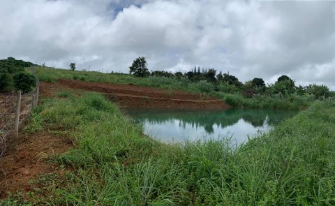 Bán lô đất diện tích 11,652 m² tại xã...