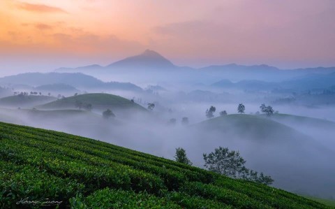 Cần bán lô đất có diện tích 3000m2 tại...