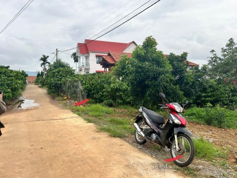 Đất đẹp view đồi thông ngay khu dân cư...