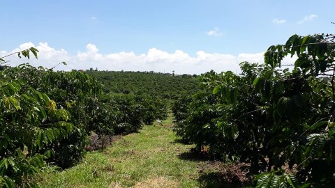 Chính chủ cần bán lô đất tại thôn Tân...