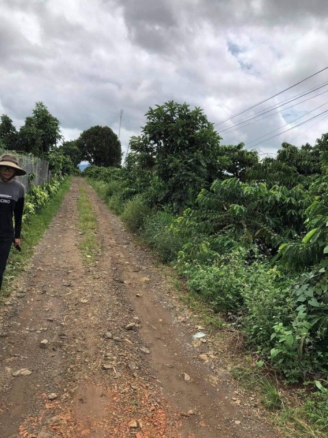 Bán lô đất 3 mặt tiền, 80m mặt...