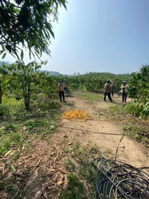 cần bán gấp 25heta đất tại xã Đinh Trang...