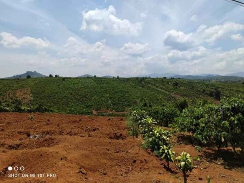 Cần bán lô đất đẹp dt 8.000m2 tại xã Hòa...