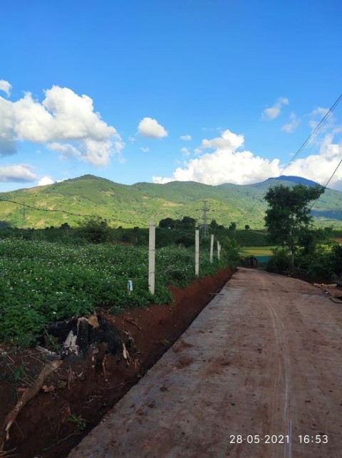 Cần bán lô đất nền view ruộng xã Đinh...