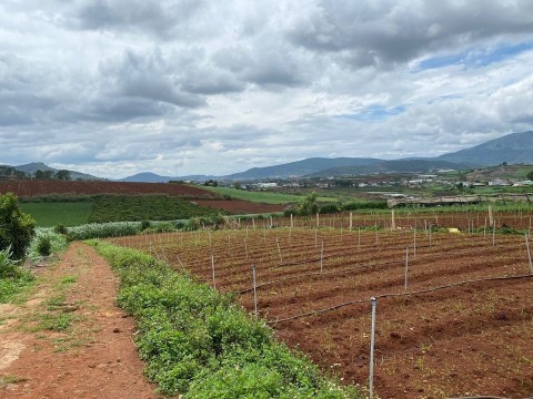 bán lô đất tại nằm tại xã tu tra - huyện...