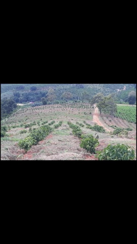 Cần bán gấp trong tuần 5ha8 đất tại xã...