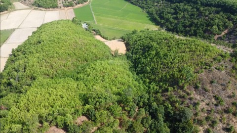 Bán 3,2 ha đất xã Gia Viễn thị trấn Cát...