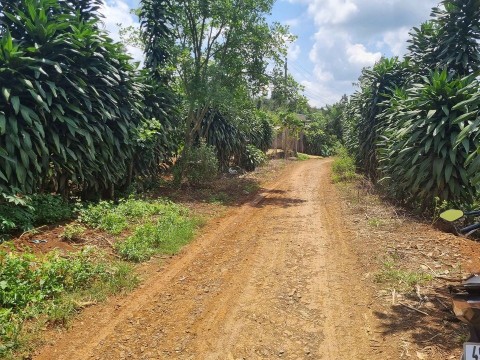 Bán 1200m2 đất viêw đồi đẹp ở thôn 7 xã...