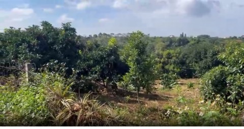 Mảnh đất ngộp giá rẻ ở Nam Ban, view...