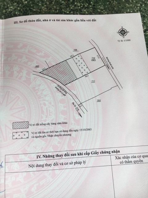 Cần tiền cho con đi học nên bánh lô đất...