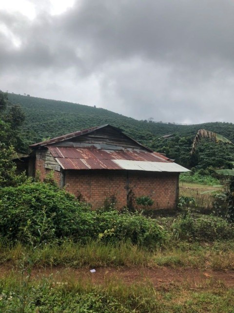 Bán gấp 12000m2 (1,2ha) đất vườn Lộc...