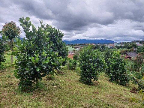 Bán rẻ mùa đất 3.120m2 thuộc thôn 7 xã...