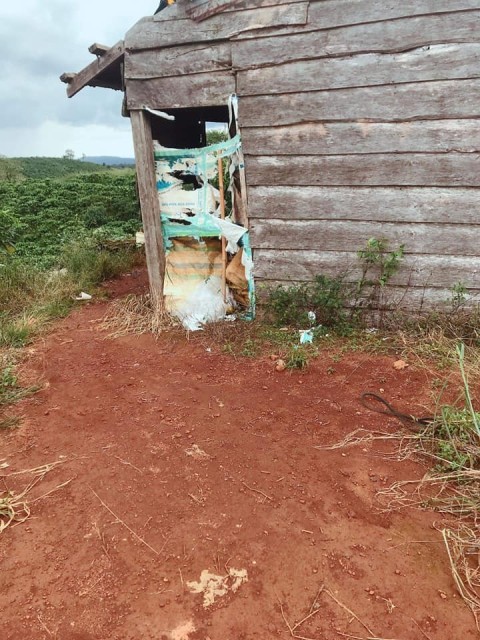 Chủ gửi bán đât vườn capê thu mạnh sen...