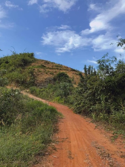 Chủ gửi bán đất sầu riêng Xã Lộc Bảo,...