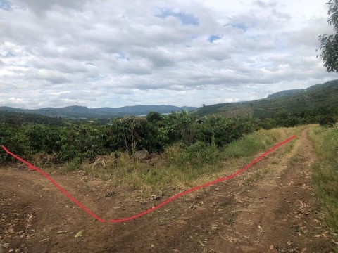 Cần bán lô đất đẹp diện tích 6.000m2 tại...