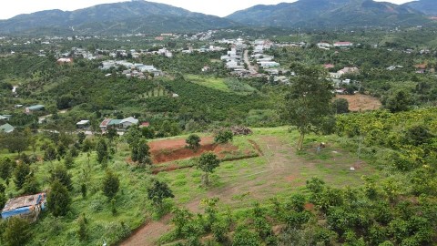 Bán đất thôn 10 xã Lộc Nam, huyện Bảo...