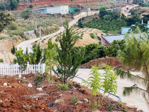 550m2 đất thổ cư tt nam ban giá chỉ 1,25...