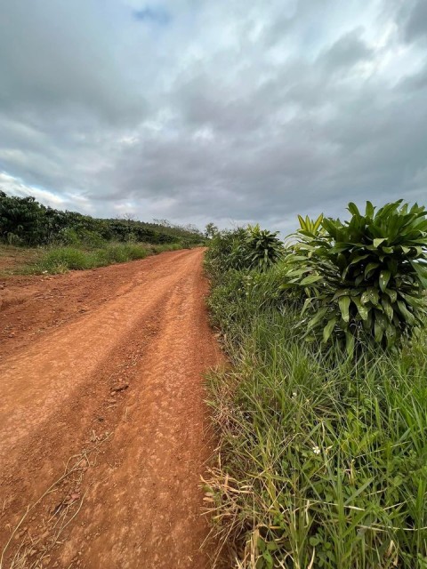 Cần bán lô đất view hồ trước tết để đáo...