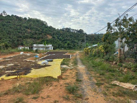 Chính chủ gửi bán mảnh đât thôn 5 lộc...