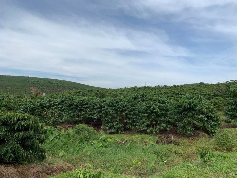 Chính chủ kẹt ng ngày tết cần bán nhanh...