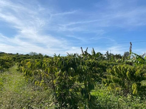 Thiếu tiền đóng ngân hàng cần ra nhanh 2...