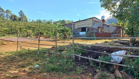 Chủ gửi bán lô đất Dt 1hec thuộc Xã Lộc...