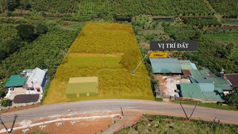 BÁN 4 SÀO ĐẤT - MẶT TIỀN ĐƯỜNG LẠC LONG...