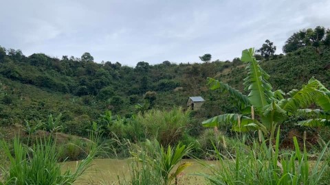 Bán nhanh 1ha đất vườn F0 tạiLiên Đầm,...