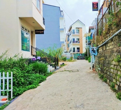 BÁN ĐẤT THÔNG THIÊN HỌC PHƯỜNG 2 TP ĐÀ...