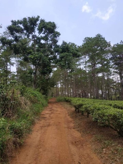 Cần bán 3 héc đất quy hoạch tại Xã...