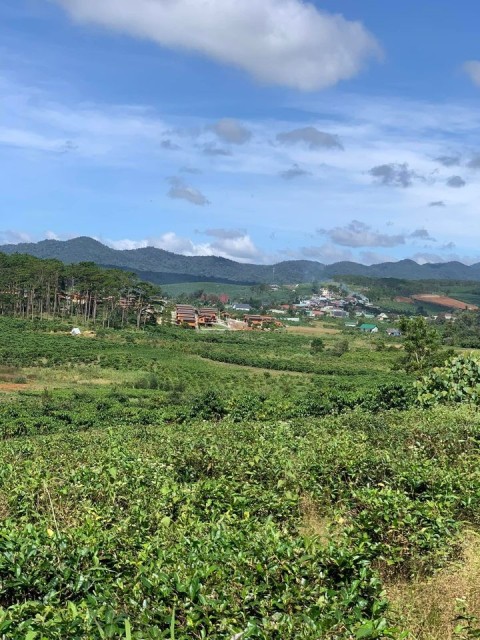 Cần bán đất ngay trung tâm xã b lá _ bảo...