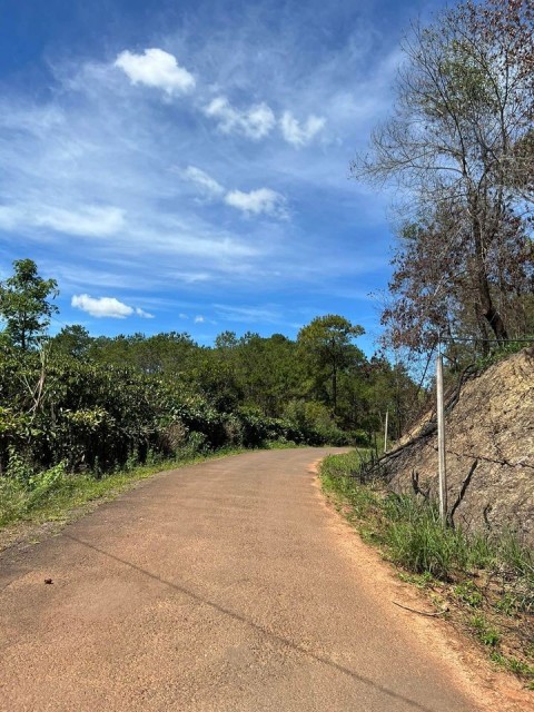 Cần bán lô đất 9 sào trung tâm Xã Lộc...