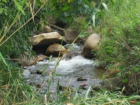 Cần bán nhanh ô đất 9,5 sào tại xã Phú...