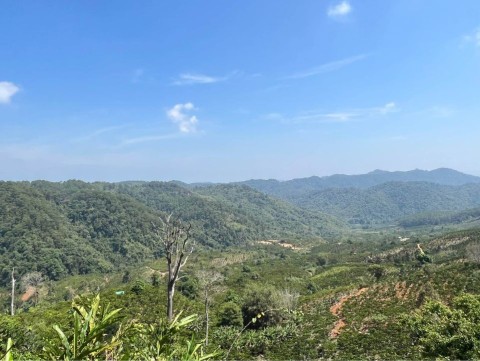 Cần bán lô đất 6 sào tại xã Lộc Phú- Bảo...