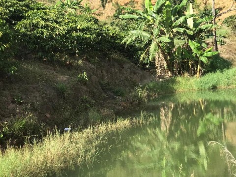 Cần tiền cho con đi học nên bán gấp  1,2...