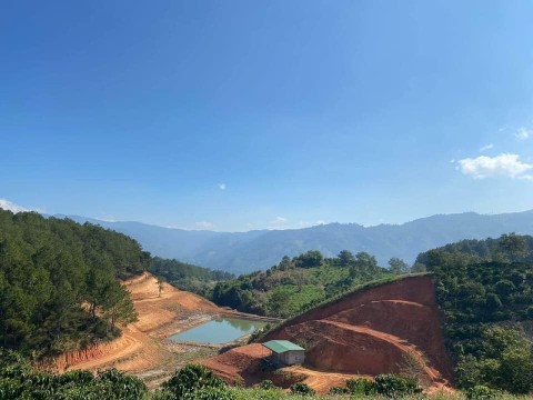 Bán lô đất lưng tựa thông tại Phú Sơn...