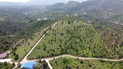 Chính chủ gửi cần bán đất TÂN LẠC - BẢO...