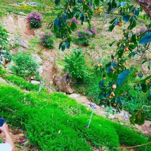 Bán lô đất diện tích 7473m2 thực tế...