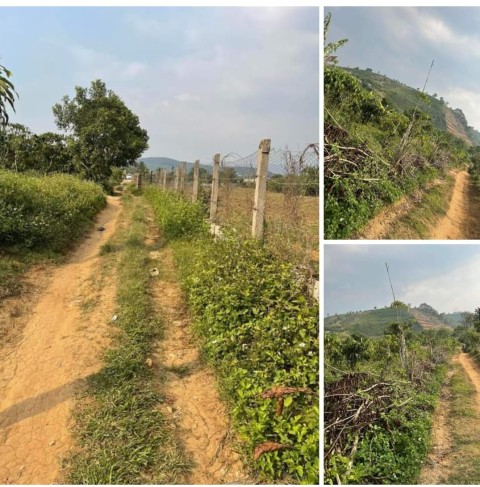 Cần tiền bán lô đất đẹp tại Phú Sơn Lâm...