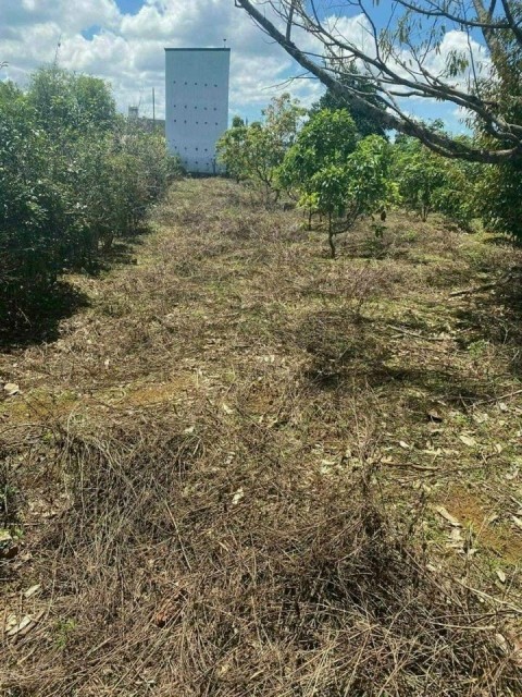 Bán đất mặt tiền hẻm 135 Nguyễn Tri...