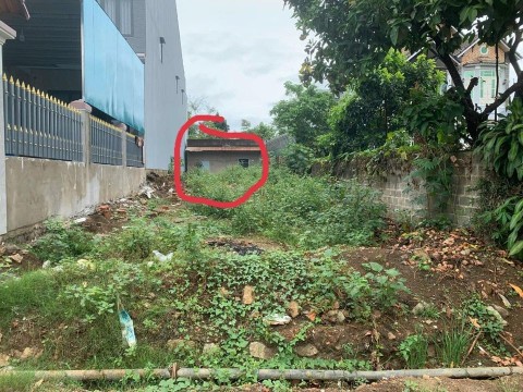 Cần bán mảnh đất dt 238m2 tại thôn 1 xã...