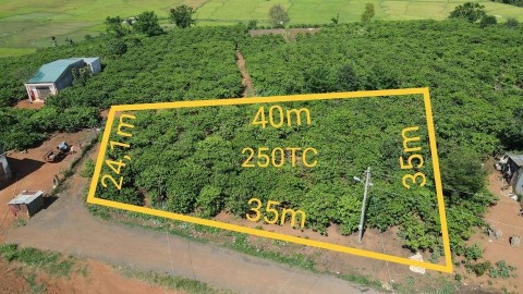 Bán đất đường thoáng đẹp phân được 3 lô...